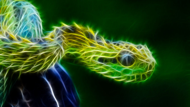 Обои картинки фото 3д графика, животные , animals, змея, цвета, фон, узор