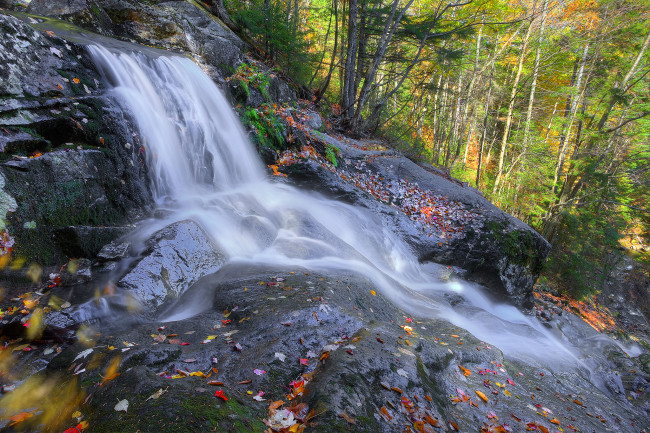 Обои картинки фото природа, водопады, водопад, река, лес