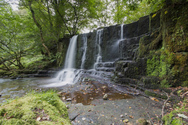 Обои картинки фото природа, водопады, водопад, река, лес