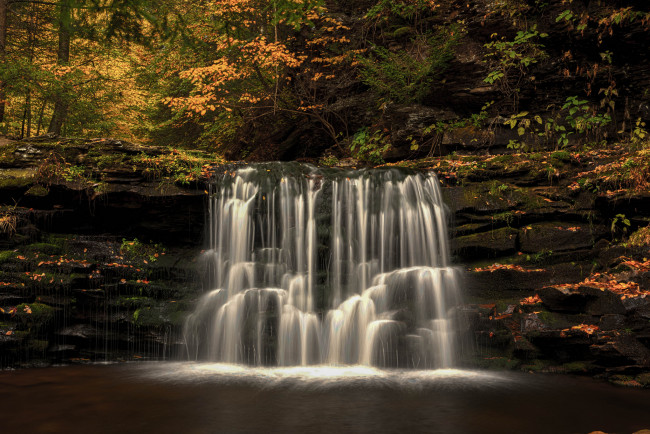 Обои картинки фото природа, водопады, водопад, река, лес