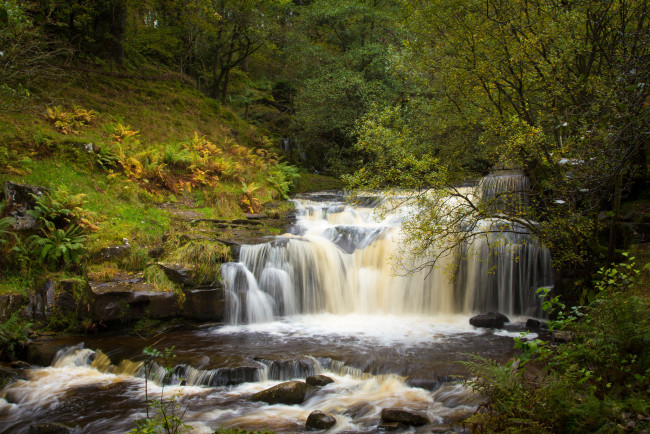 Обои картинки фото природа, водопады, водопад, река, лес