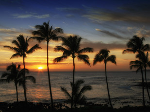 Картинка природа тропики заря пальмы