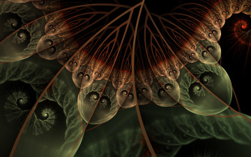 Картинка 3д+графика фракталы+ fractal цвета фон узор