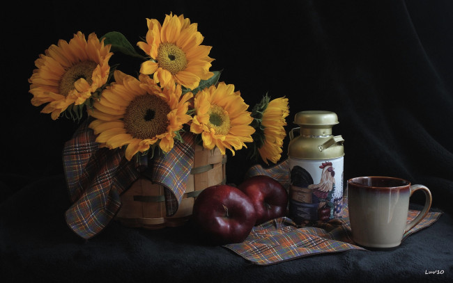 Обои картинки фото еда, натюрморт, подсолнухи, яблоко, посуда, чашка