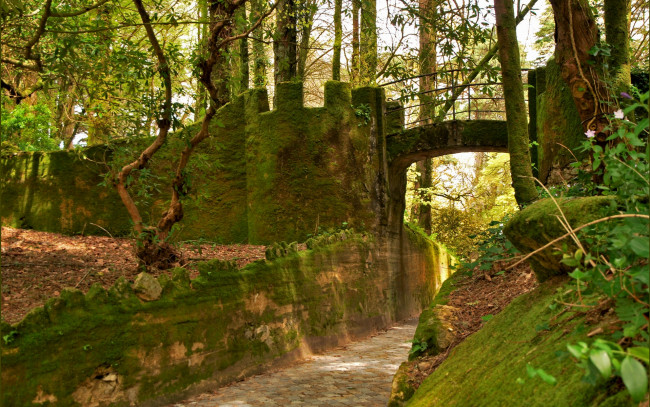 Обои картинки фото города, - исторические,  архитектурные памятники, деревья, дорожка, мох, лес, стена, мост
