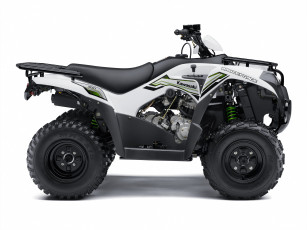 Картинка мотоциклы квадроциклы benni changan ev 2016г