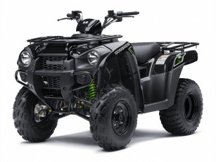 Картинка мотоциклы квадроциклы ev benni changan 2016г