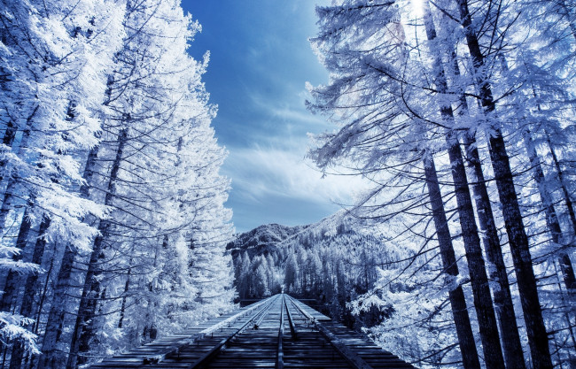 Обои картинки фото разное, транспортные средства и магистрали, рельсы, деревья, снег