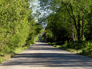 Картинка природа дороги шоссе дорога арка