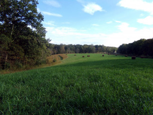 Картинка природа луга стога луг лето