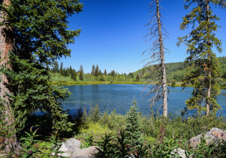 Картинка природа реки озера простор