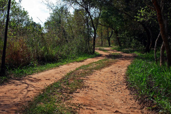 Картинка природа дороги дорога проселочная