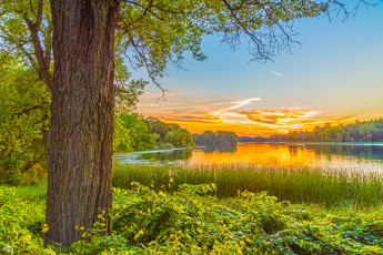 Картинка природа реки озера простор