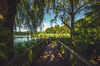 Картинка природа дороги простор