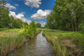 Картинка природа реки озера простор