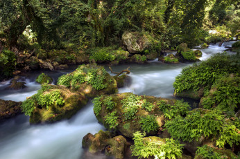 Картинка природа реки озера простор