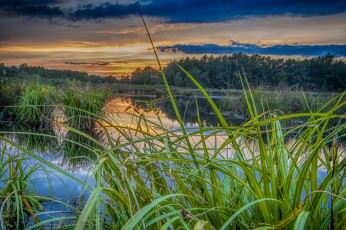 Картинка природа реки озера простор