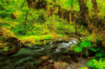 Картинка природа реки озера простор