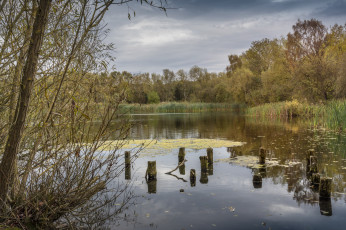 Картинка природа реки озера простор