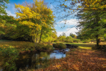 Картинка природа реки озера простор