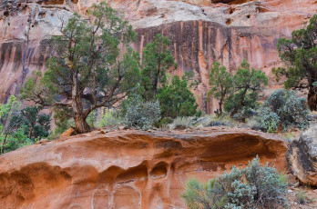 Картинка природа горы простор