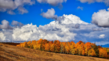 Картинка природа пейзажи простор