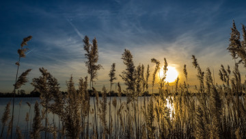 Картинка природа восходы закаты простор