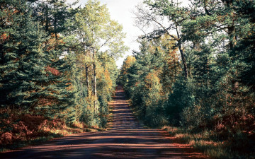 Картинка природа дороги дорога проселочная