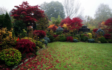 Картинка природа парк лужайка беседка