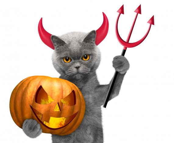 Обои картинки фото праздничные, хэллоуин, halloween