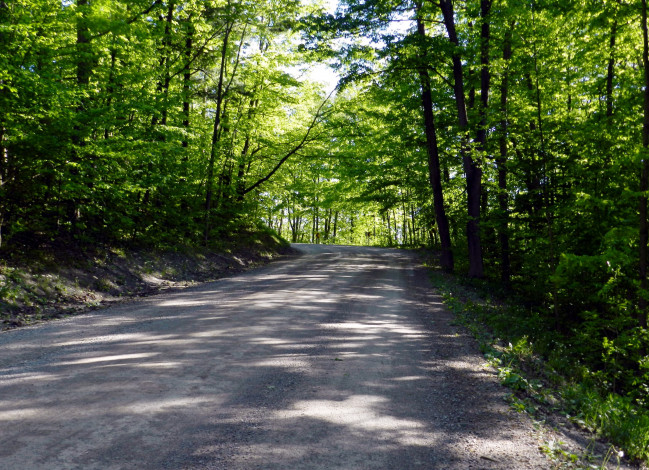 Обои картинки фото природа, дороги, дорога, проселочная