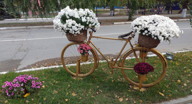Обои картинки фото разное, садовые и парковые скульптуры, осень, октябрь, 2017, хризантемы