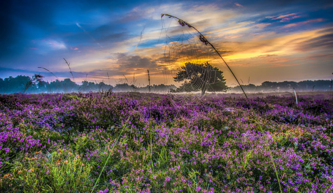 Обои картинки фото природа, пейзажи, простор