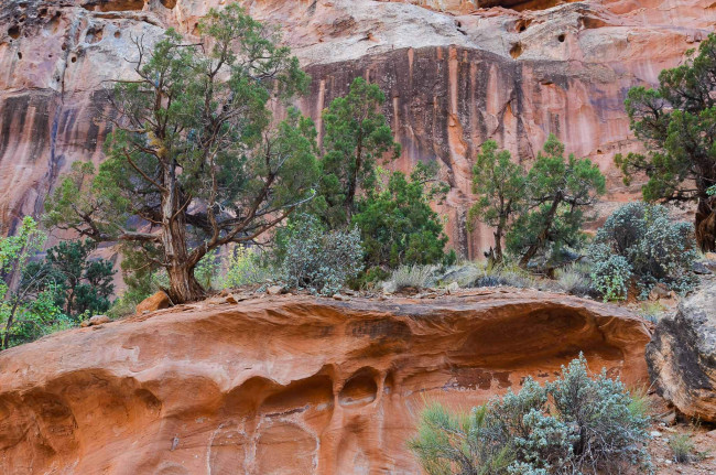 Обои картинки фото природа, горы, простор