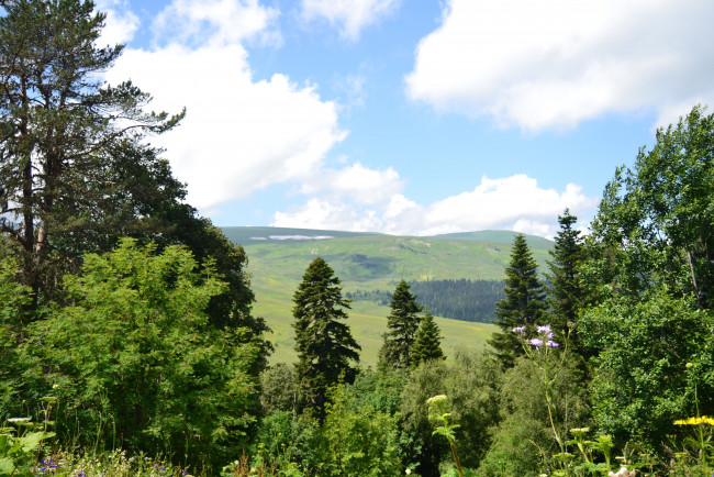 Обои картинки фото лаго- наки, природа, горы, лаго-, наки, плато, кавказ, россия