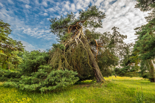 Обои картинки фото природа, пейзажи, простор