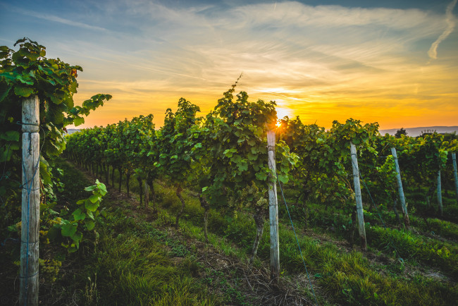 Обои картинки фото природа, пейзажи, простор