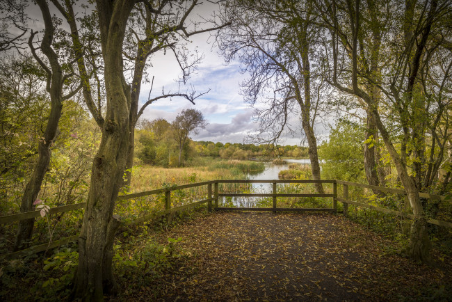 Обои картинки фото природа, пейзажи, простор