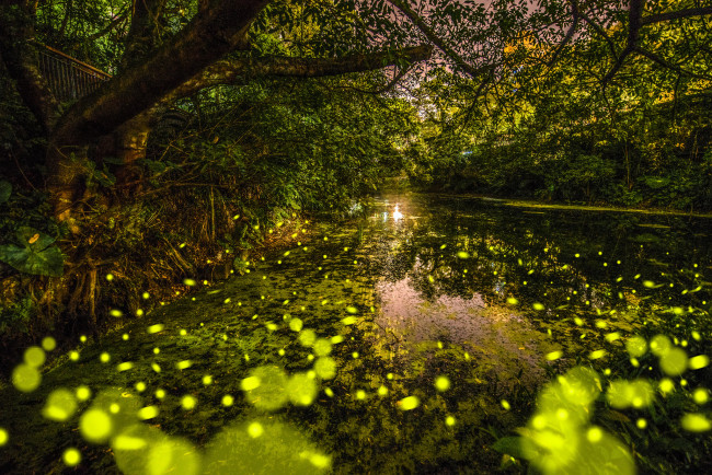 Обои картинки фото природа, реки, озера, простор