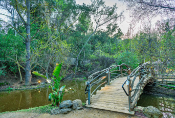 Картинка природа реки озера простор