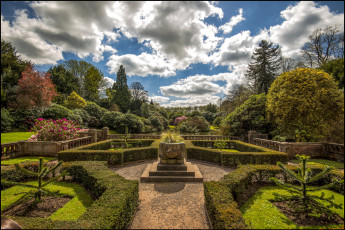 Картинка природа парк простор