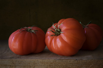 Картинка еда помидоры снедь томаты