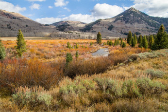 Картинка природа пейзажи простор