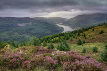 Картинка природа пейзажи простор