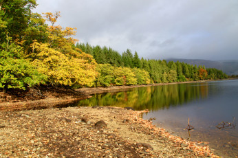 Картинка природа реки озера простор