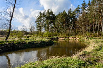 Картинка природа реки озера простор