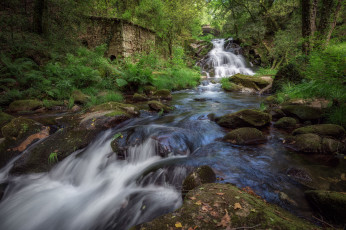 Картинка природа реки озера простор