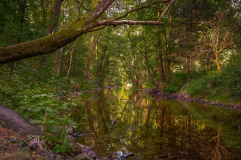 Картинка природа реки озера простор