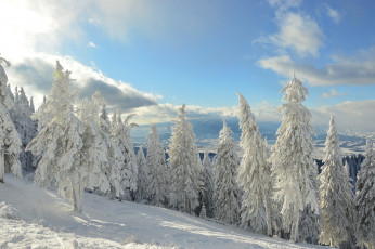 Картинка природа зима простор