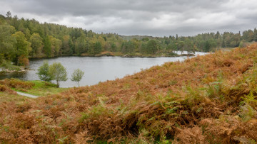 Картинка природа реки озера простор